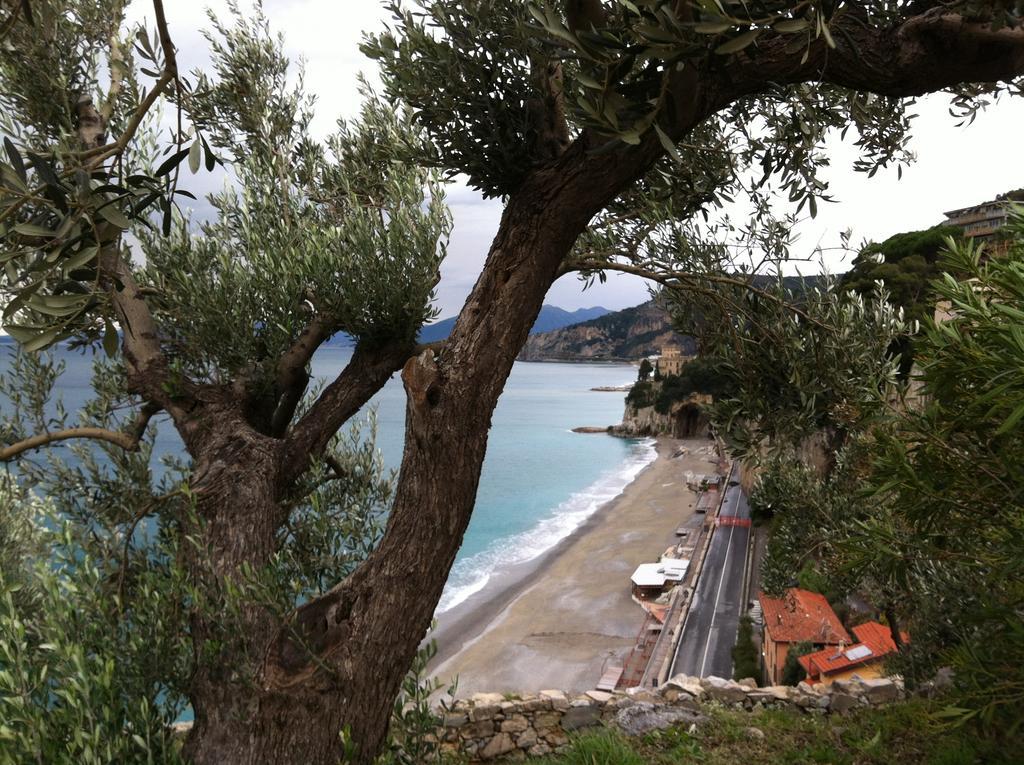 Agriturismo La Rocca Di Perti Finale Ligure Zewnętrze zdjęcie