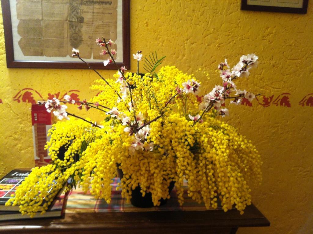 Agriturismo La Rocca Di Perti Finale Ligure Zewnętrze zdjęcie