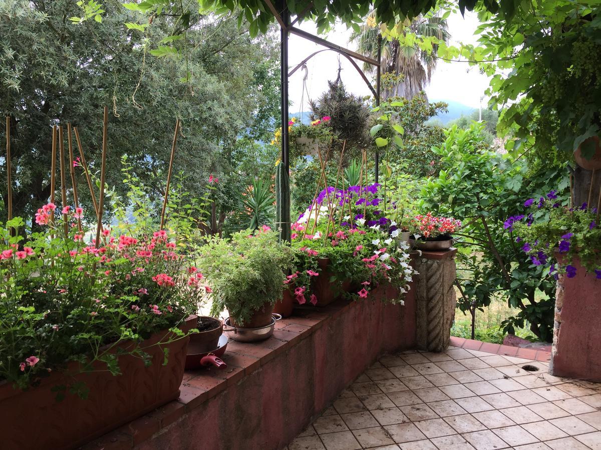 Agriturismo La Rocca Di Perti Finale Ligure Zewnętrze zdjęcie